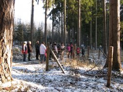 img_3133